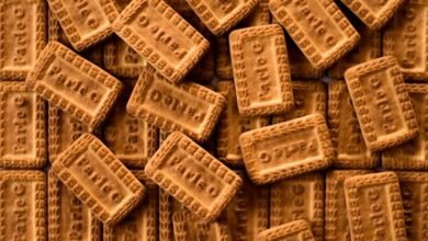 indian cuisine cooking book