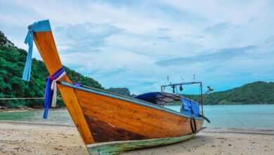 large icicle pruning tool