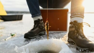 mahi manu small e0jj8u