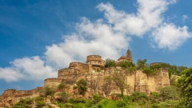 moti s unique culinary creation