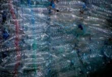 identifier bundle initialization process