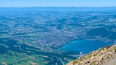 identifier linkage overview system