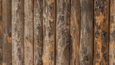 log of entry alignments