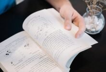 numeric chain attribution report