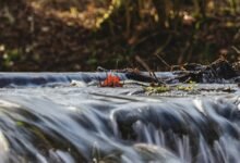 numeric flow synchronization process