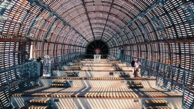 numeric set correlation analysis