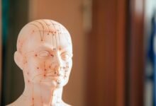 terminal numeric reference summary